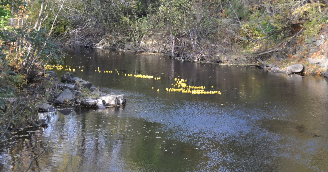 Andeløp_DuckRace_2023_231015.jpg