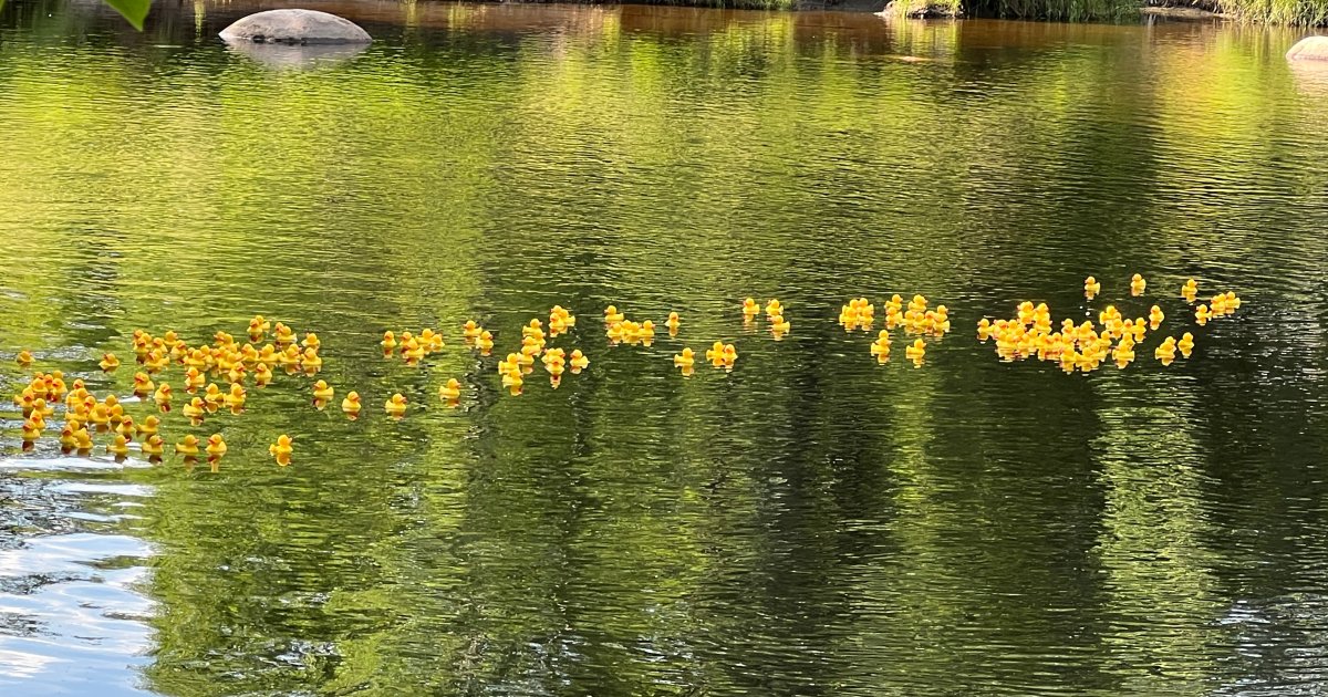 Vinnerne Av Røa Dynamite Girls Duck Race 2024 / Røa Fotball Elite